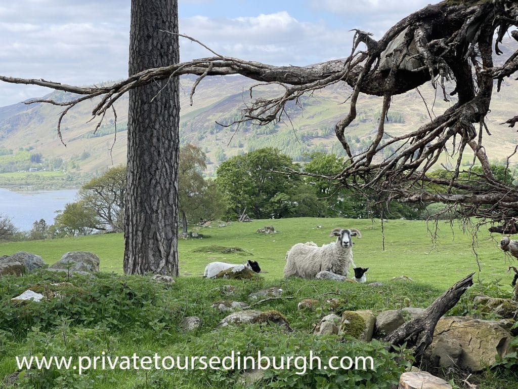 craigh na dun tours, Outlander tours Scotland